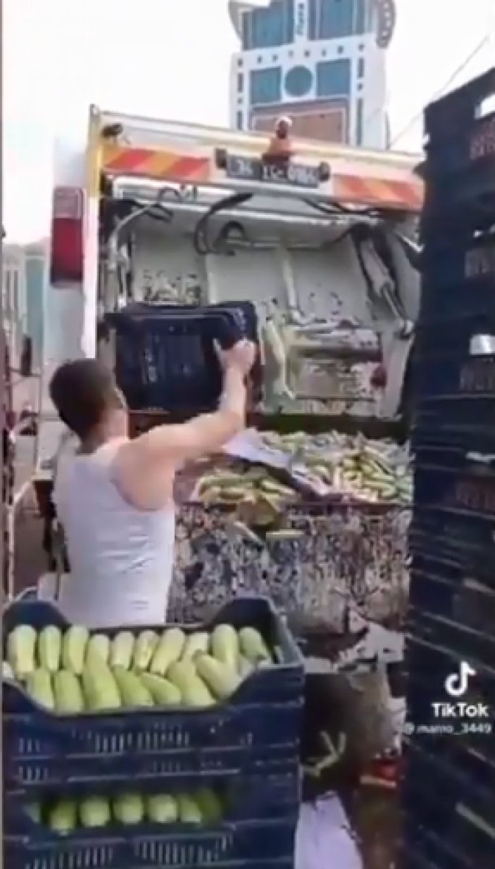 Taze kabaklar fiyatları düşmesin diye çöpe atıldı