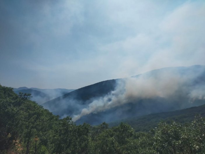 Tunceli Valiliği’nden orman yangınlarına ilişkin açıklama