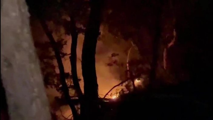 Bursa'da yıldırım düşen ormanda yangın çıktı