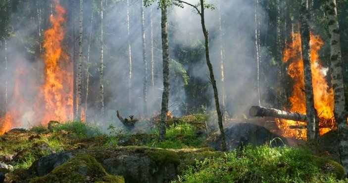 Brezilya Amazonlarında yangınlar ağustos ayında beş kat arttı