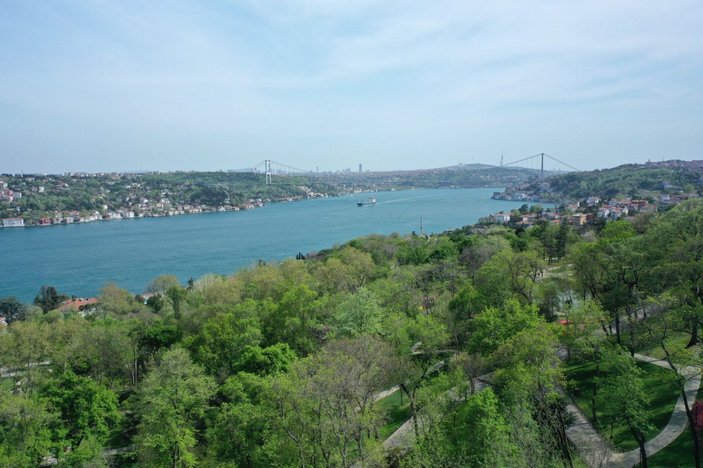 İstanbul'da ormanlara girmek 30 Eylül'e kadar yasak