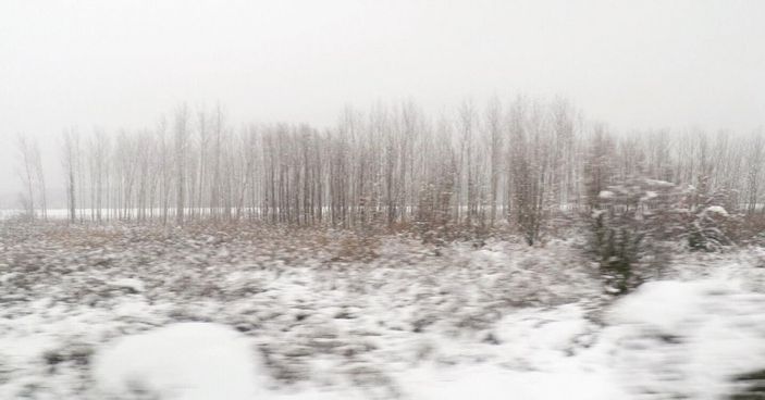 'Acı ve Tatlı' belgeseli Kazan Film Festivali'nde yarışacak