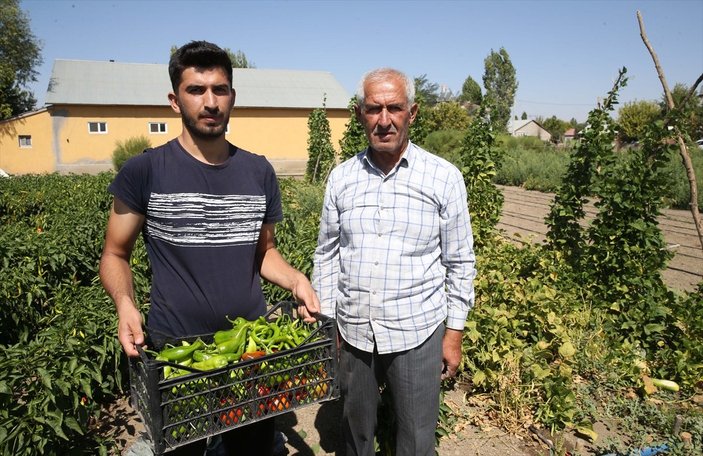 Muş'ta tarlada çalışan genç, Tıp fakültesini kazandı