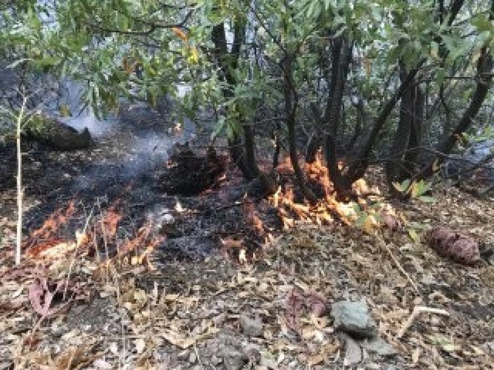i Şemdinli’de orman yangını kontrol altına alındı