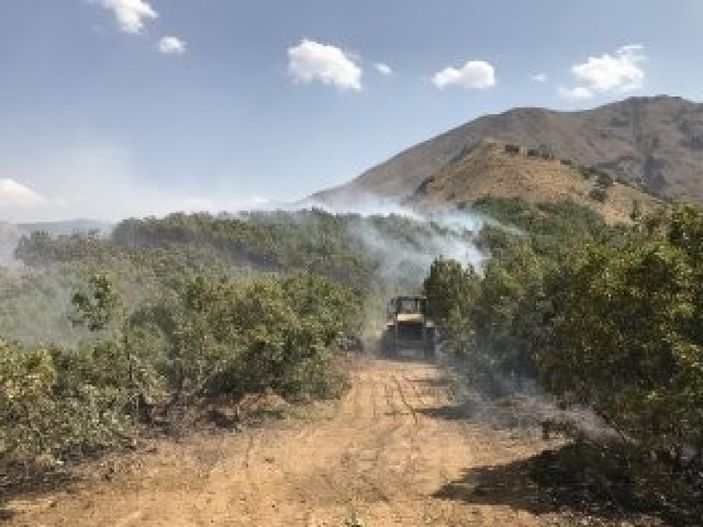 i Şemdinli’de orman yangını kontrol altına alındı