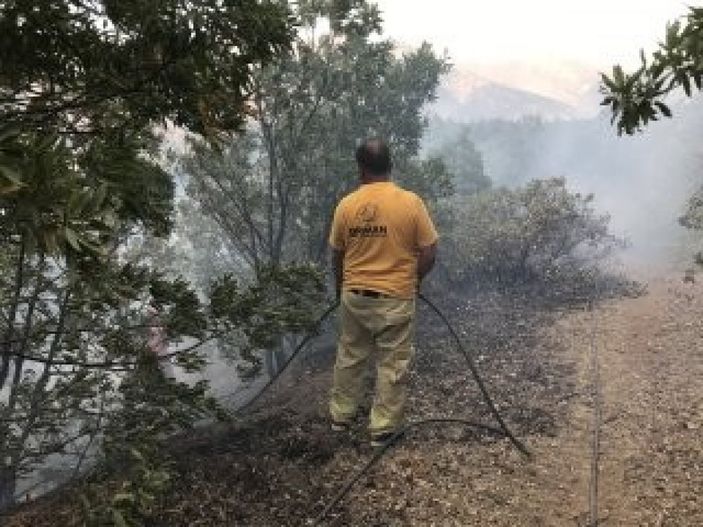 i Şemdinli’de orman yangını kontrol altına alındı