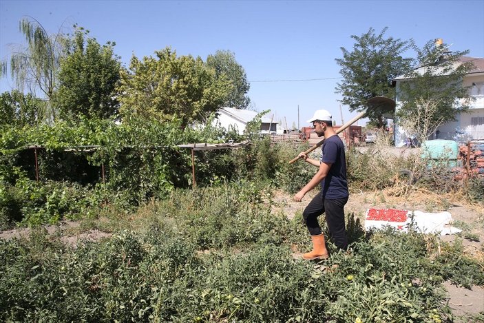 Muş'ta tarlada çalışan genç, Tıp fakültesini kazandı