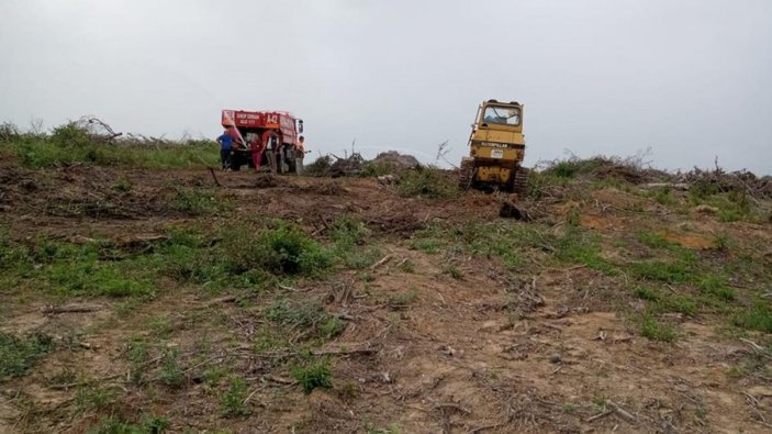 Sinop'ta çıkan yangın büyümeden söndürüldü