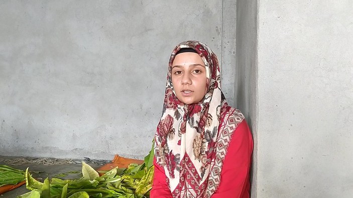 Adıyaman'da tütün tarlasında çalışan genç kız, tıp fakültesi kazandı