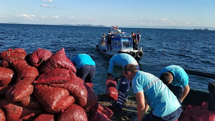 Bayrampaşa'da  6 ton kaçak midye yakalandı