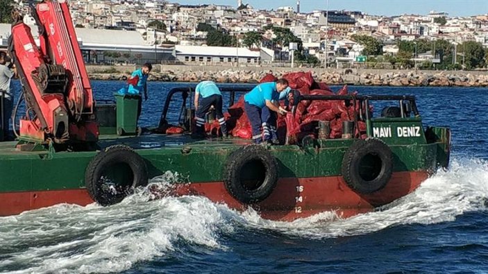 Bayrampaşa'da  6 ton kaçak midye yakalandı