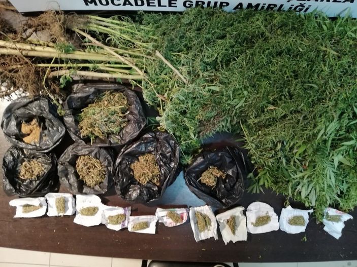 i Hatay'da kenevir yetiştiren şahsa tutuklama