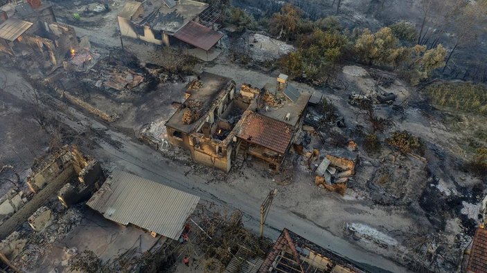 Antalya'da yanan ormanların yerine 100 milyon fidan