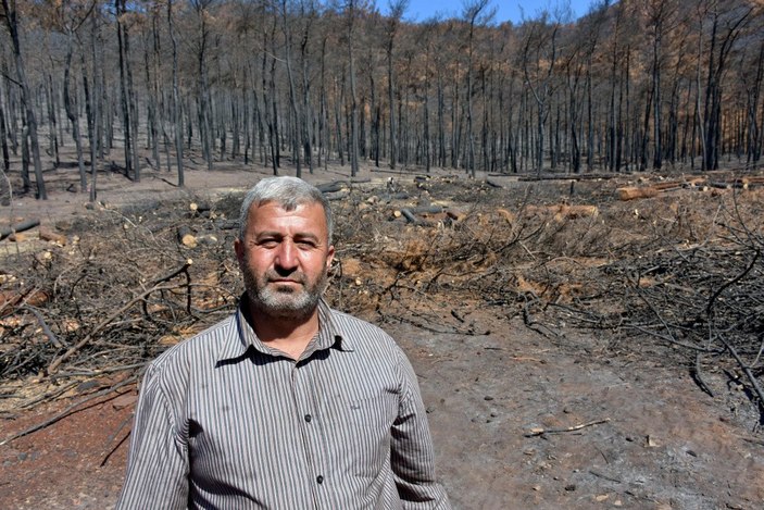 Marmaris'te yangında zarar gören ağaçlar kesiliyor