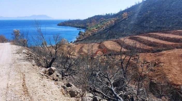 Milas’ta yanan ormanlık alanlara 'inşaat yapılıyor' iddiası yalan çıktı