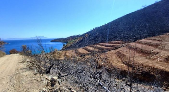 i Milas’ta yanan ormanlık alanlara 'inşaat yapılıyor' iddiası yalan çıktı