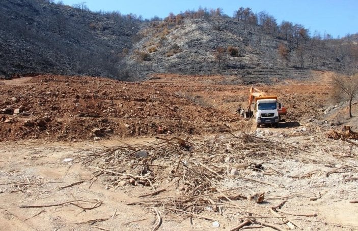 Milas’ta yanan ormanlık alanlara 'inşaat yapılıyor' iddiası yalan çıktı