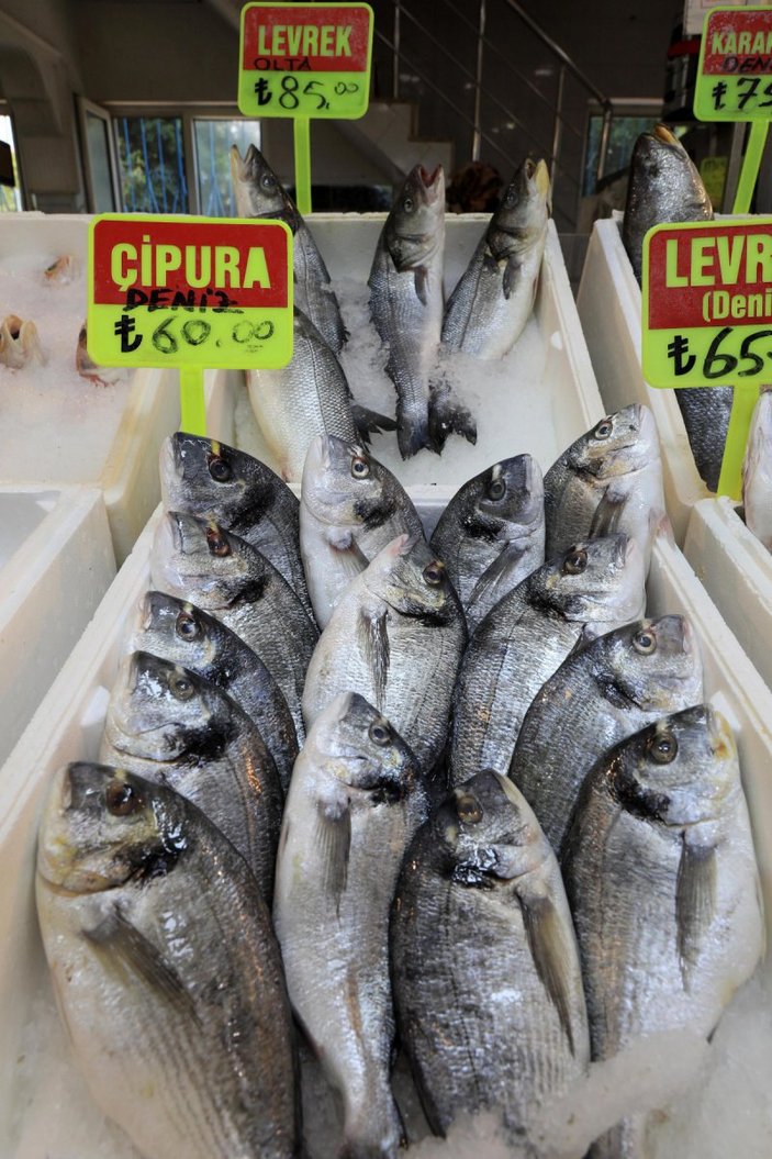 Akdeniz'de balık av yasağı 15 Eylül'de bitiyor