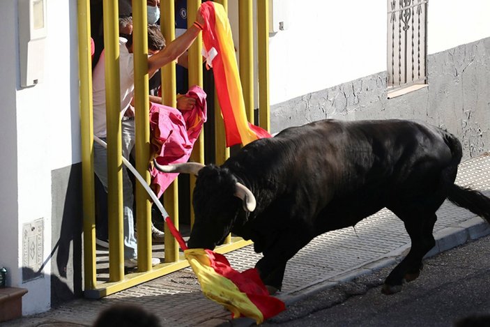 İspanya'da pandemiden bu yana ilk boğa koşusu festivali yapıldı