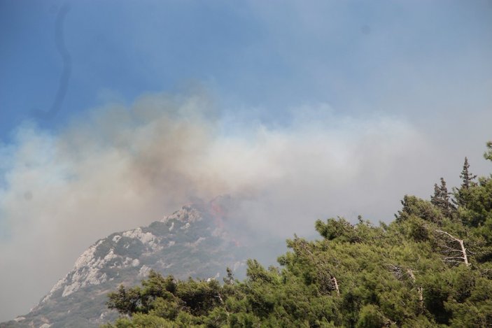 Hatay’da orman yangını çıktı