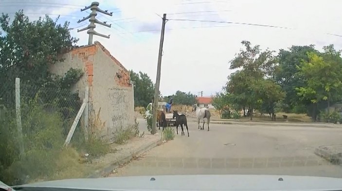 Eskişehir’de, atları kamyonetin arkasına bağlayıp koşturdu