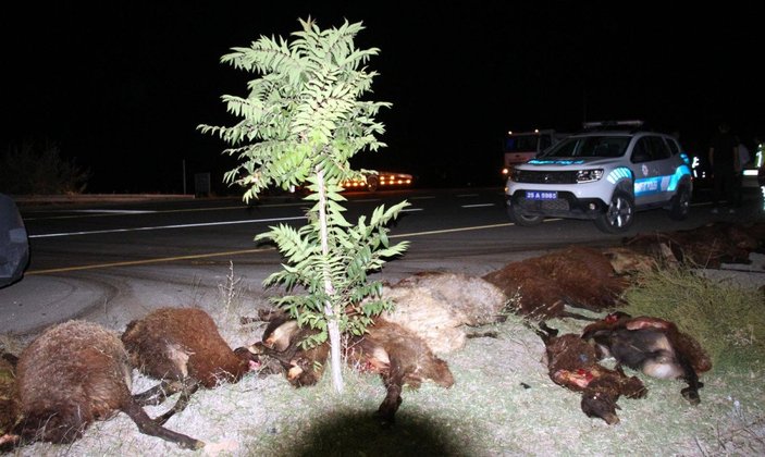 Erzurum'da iki araç koyun sürüsüne daldı: 40 koyun telef oldu
