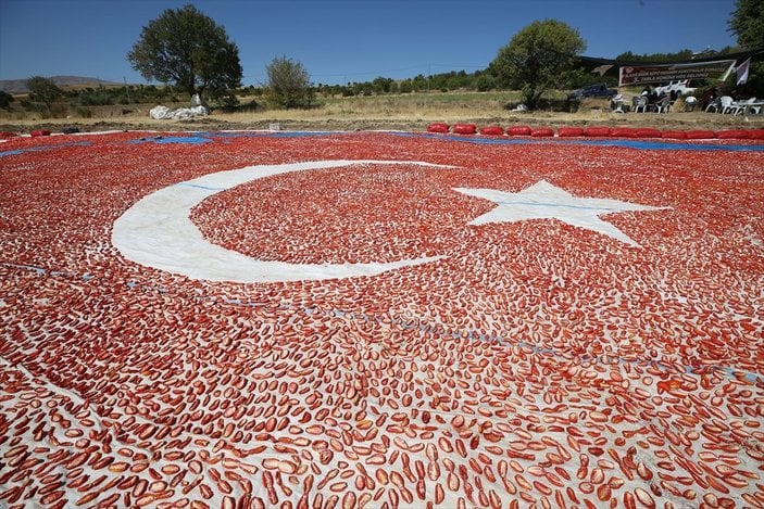 Elazığ'da domateslerle Türkiye haritası yapıldı