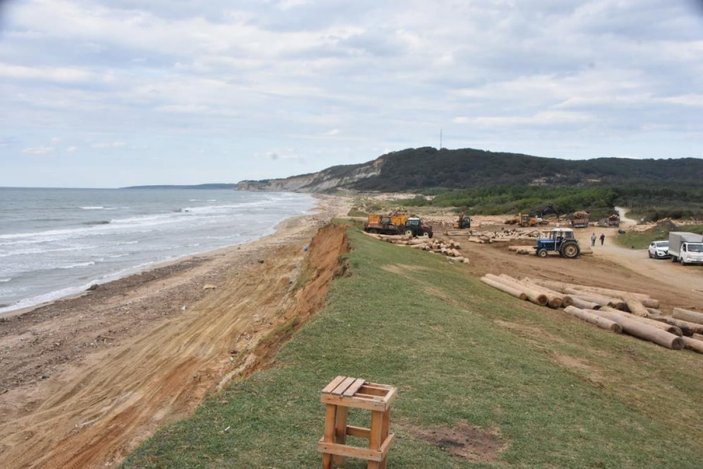 Sinop'ta Sarıkum Gölü'nde biriken tomruklar, doğal hayatı risk altında bıraktı