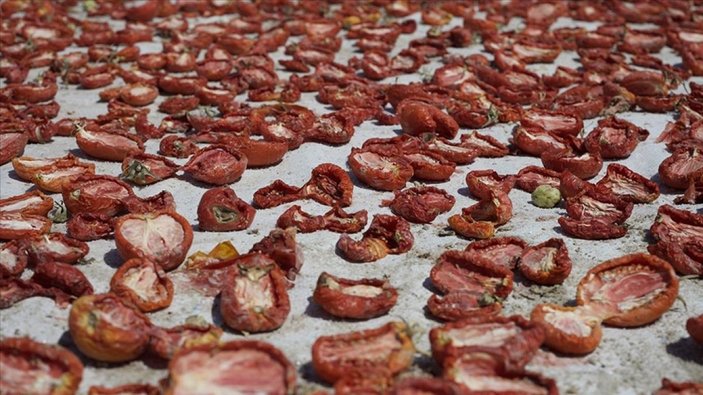 Konya’dan İtalya’ya kurutulmuş Türk domatesi ihracatı