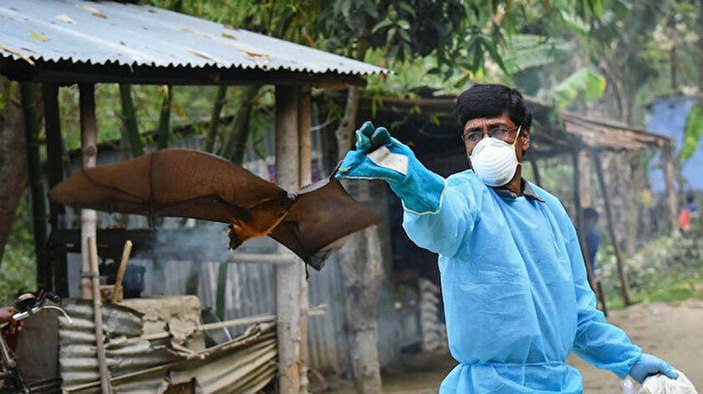 Koronavirüsten 75 kat daha ölümcül: Nipah virüsü nedir, belirtileri nelerdir?