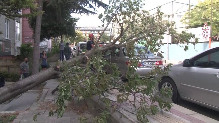 Bakırköy'de ağaç devrildi: Yaşlı kadın yaralandı