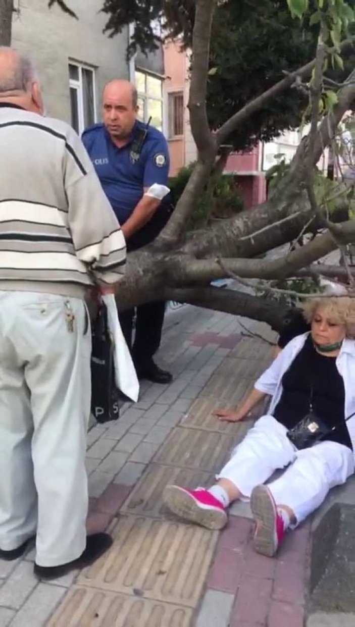 Bakırköy'de ağaç devrildi: Yaşlı kadın yaralandı