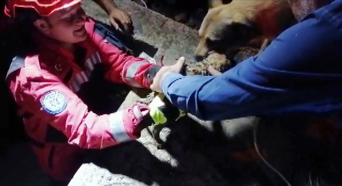 Muğla'da sulama kanalına düşen yavru köpek kurtarıldı