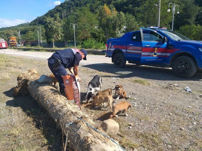 i Mehmetçik, önce vatandaşlara sonra da sokak hayvanlarına yardım ediyor