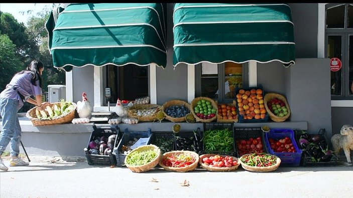 Bursa'daki tarım lisesinde doğal yöntemlerle 30 çeşit sebze ve meyve üretiliyor