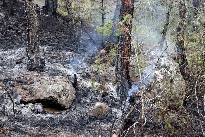 Karabük'te çıkan orman yangını kontrol altında
