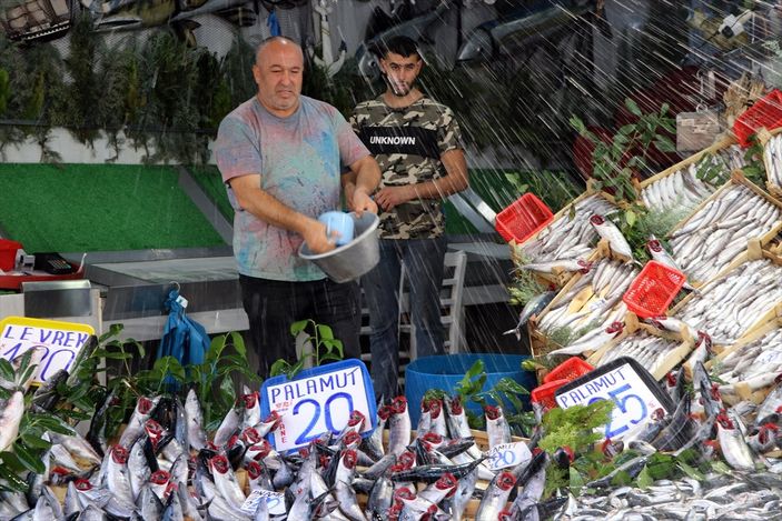 Hamsinin fiyatı 20 liraya indi