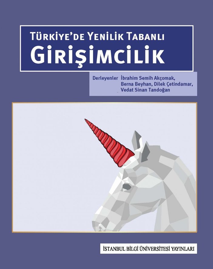Türkiye’de Yenilik Tabanlı Girişimcilik kitabı