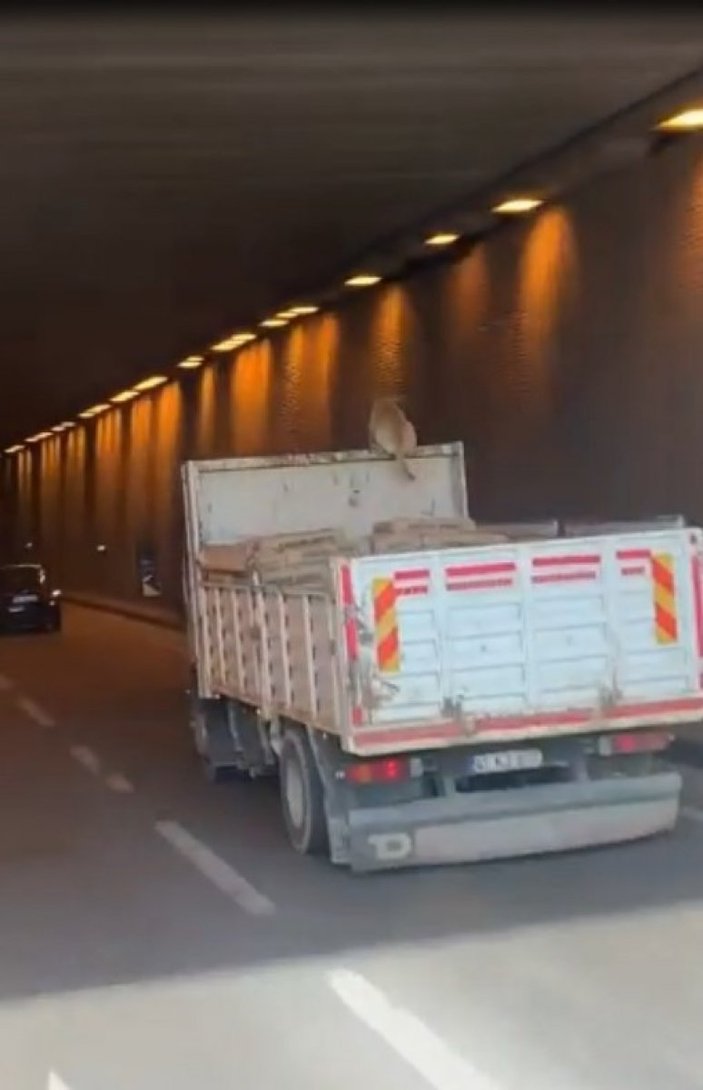 Kocaeli'de bir köpek, kamyonun üzerinde seyahat ederken görüntülendi
