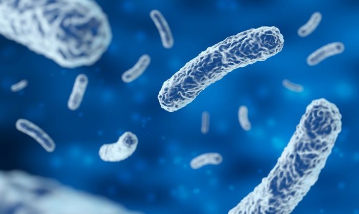 Probiyotiklerin sağlığa 5 inanılamaz faydası