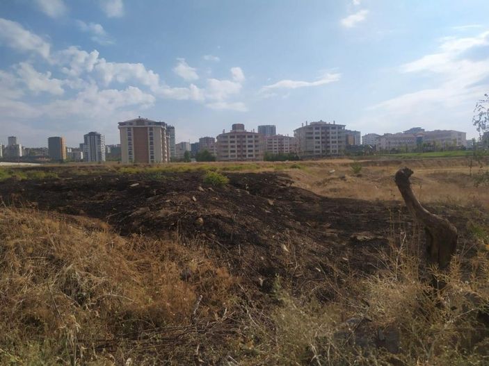 i Ankara'da yıldırım düşen boş arazide yangın çıktı