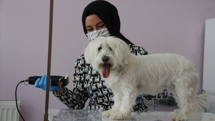 Kayseri'de devlet desteğiyle açtığı kuaför salonunda evcil hayvanları güzelleştiriyor