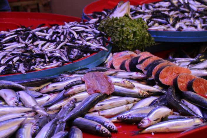 Bilecik'te halk balık tezgahlarına koştu: Palamut yok denecek kadar az