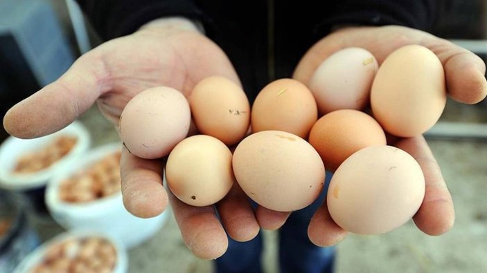 Yumurta fiyatları katlandı: Üreticilerden 'adet fiyatını 1 lira yapalım' talebi