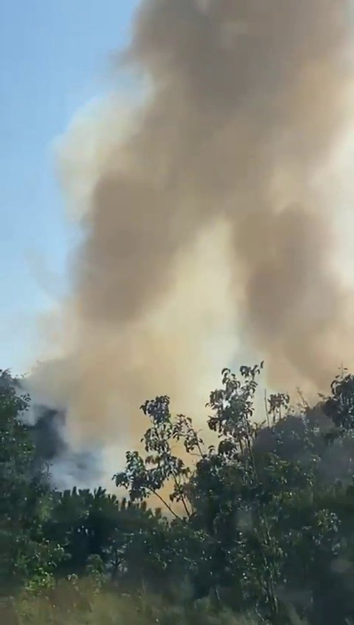 Altunizade’de ağaçlık alanda çıkan yangın söndürüldü