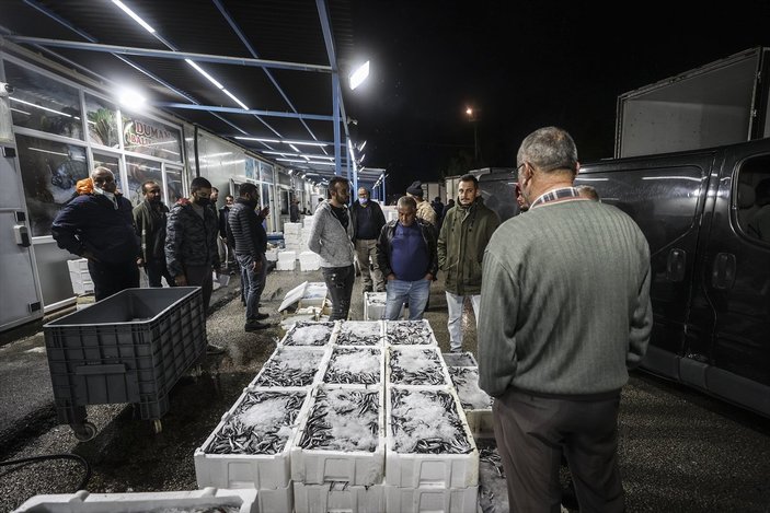 Ankara'da balık bolluğu
