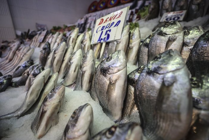 Ankara'da balık bolluğu