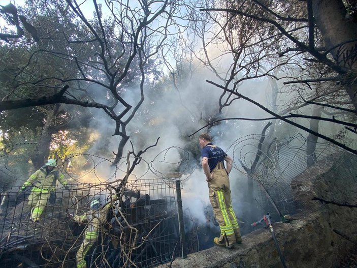 Altunizade’de ağaçlık alanda çıkan yangın söndürüldü
