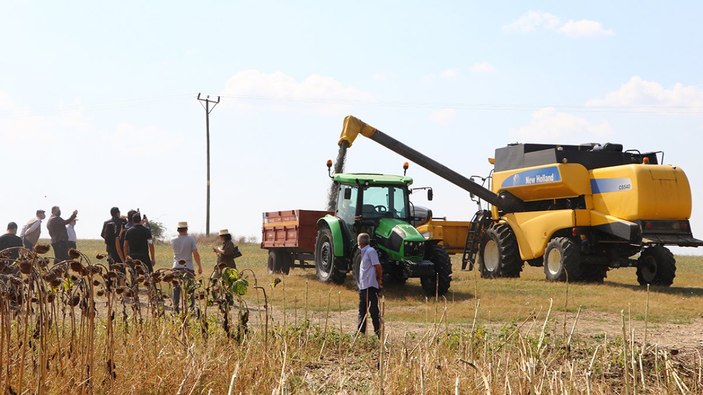 Tekirdağ'da ayçiçek üretimi yerli tohumla yapıldı