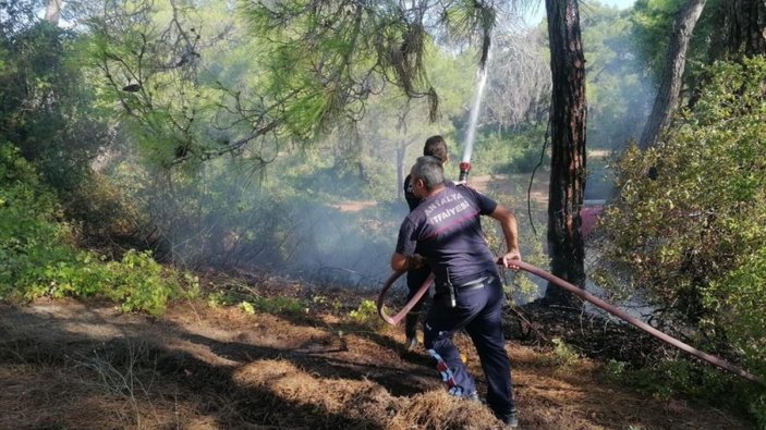 Antalya'da orman yangını girişiminde bulunan şahıs yakalandı
